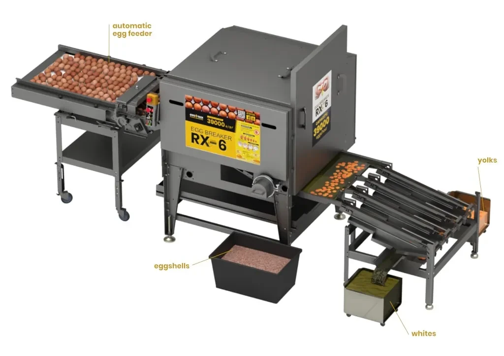 الة تكسير البيض يفصل البياض عن الصفار، بسعة 39000 بيضة/ ساعةRX-6