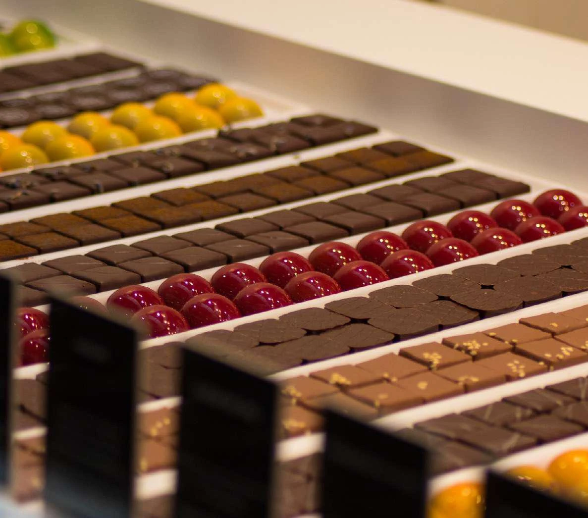 وعاء طهي متعدد الأغراضQBO5